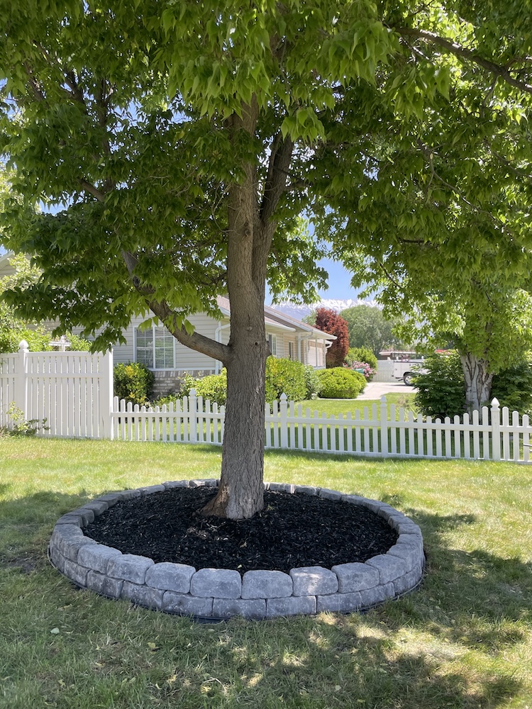 Yard Cleanup